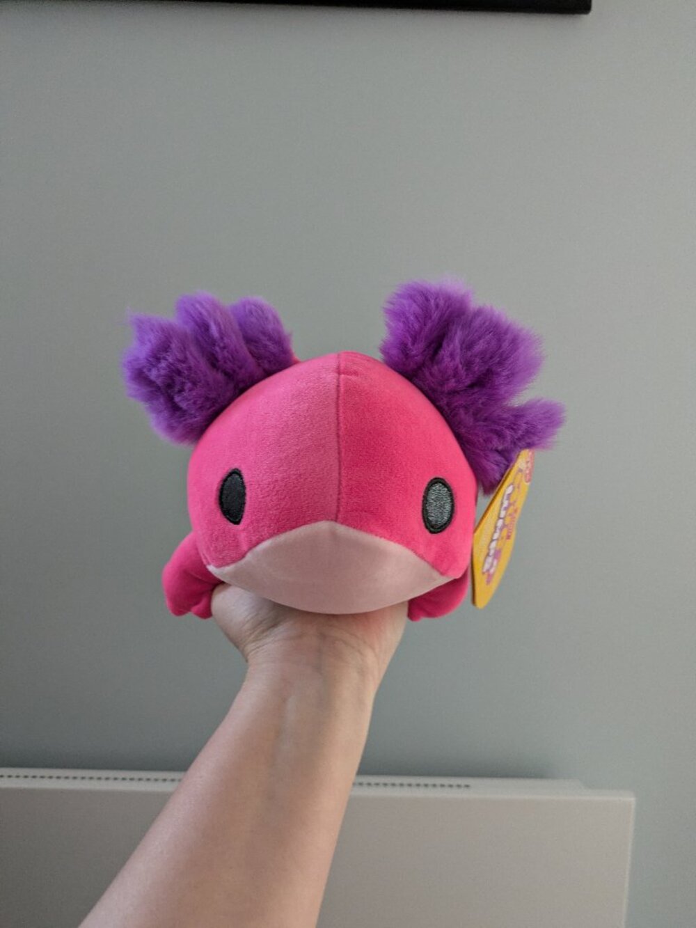 Hug-A-Lumps Axolotl (small version)